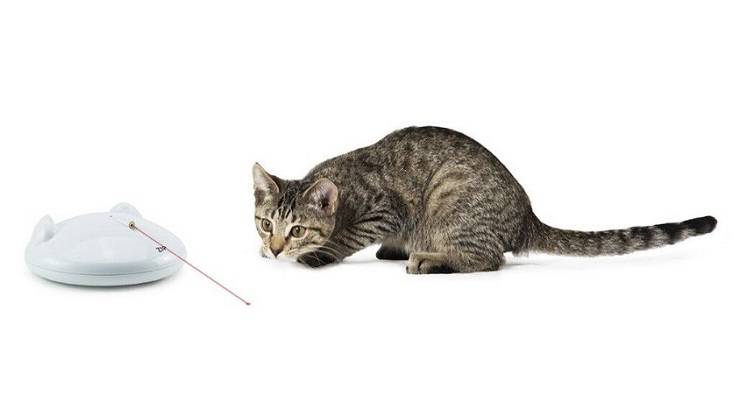 regali per gatto Natale 2022