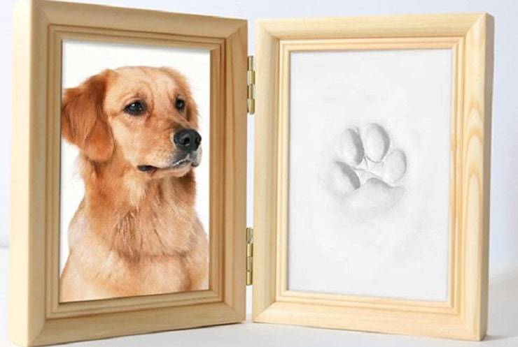 set impronta cane