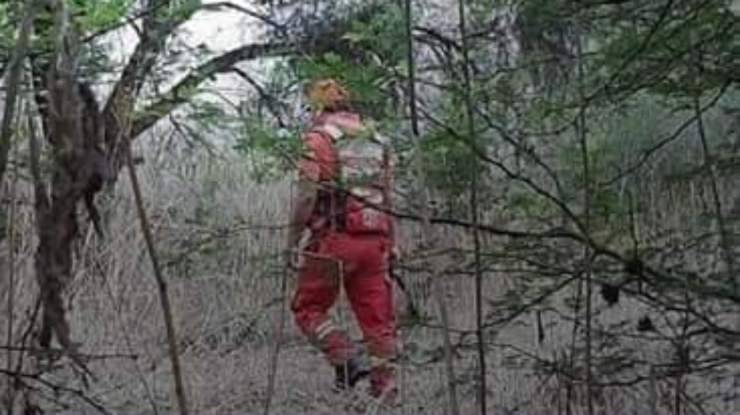 ricerca gatto scomparso bolivia