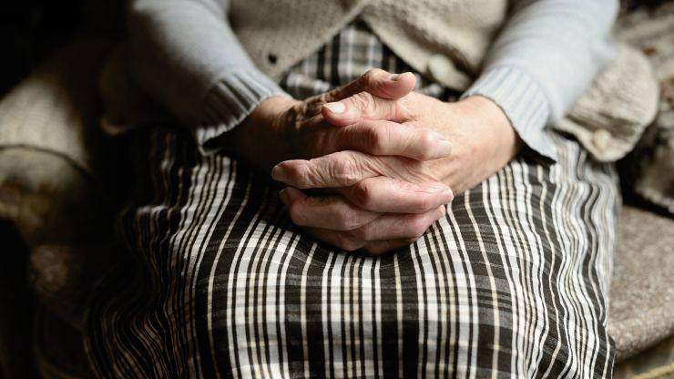 donna ospedale cane