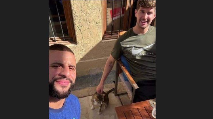squadra inglese adotta gatto