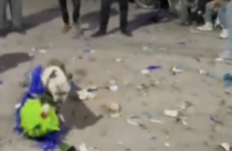 cane ruba pignatta natale