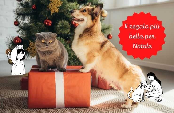 Regalo speciale per Natale
