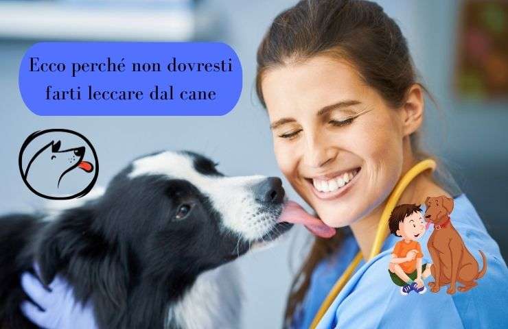 Cane lecca una donna