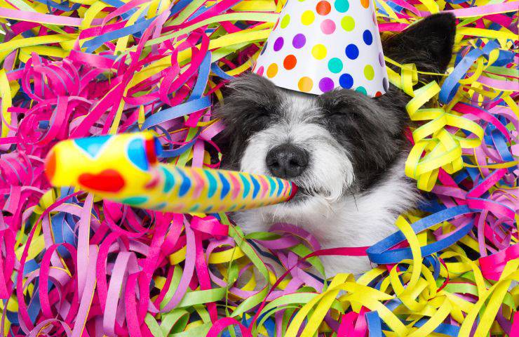 Capodanno Fido