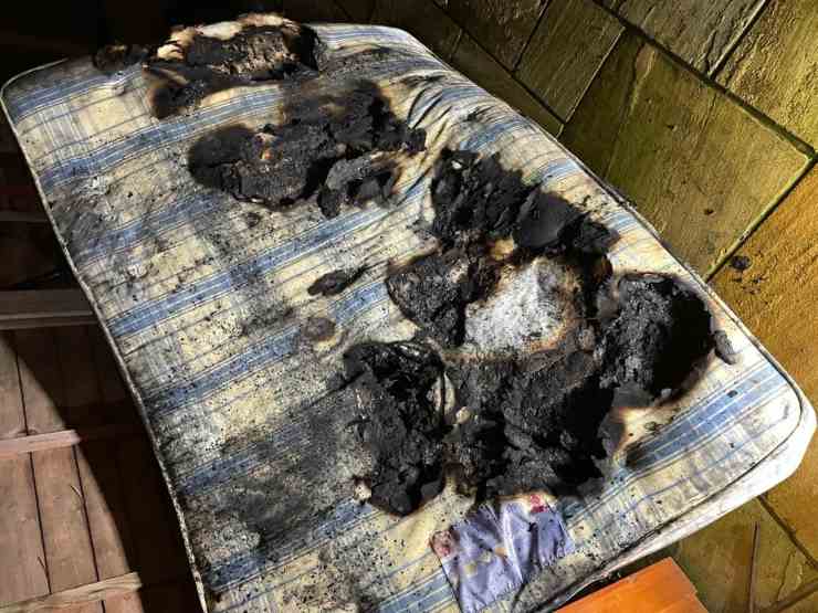cane incendio phon