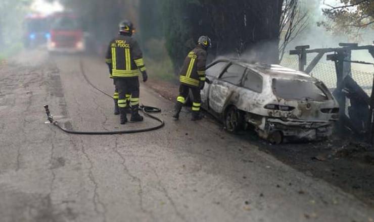 ancona incendio cani