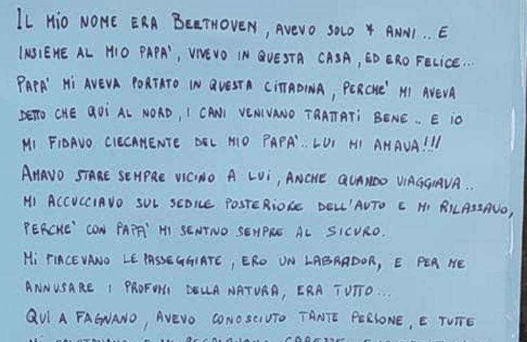 lettera cane defunto