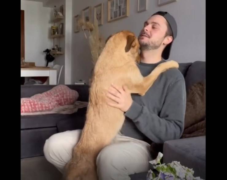 papà esce cucciolo