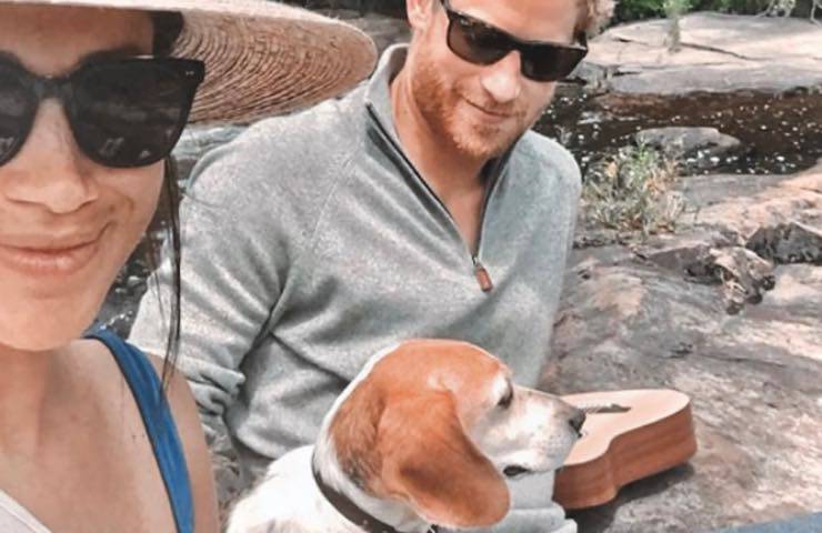 harry meghan sempre lui