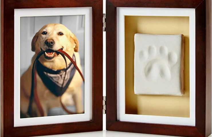 Portafoto con impronta cane