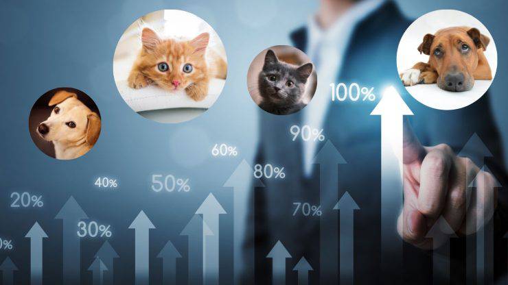 aumento prezzi cibo animali