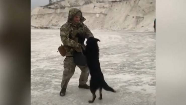 soldato con cane video