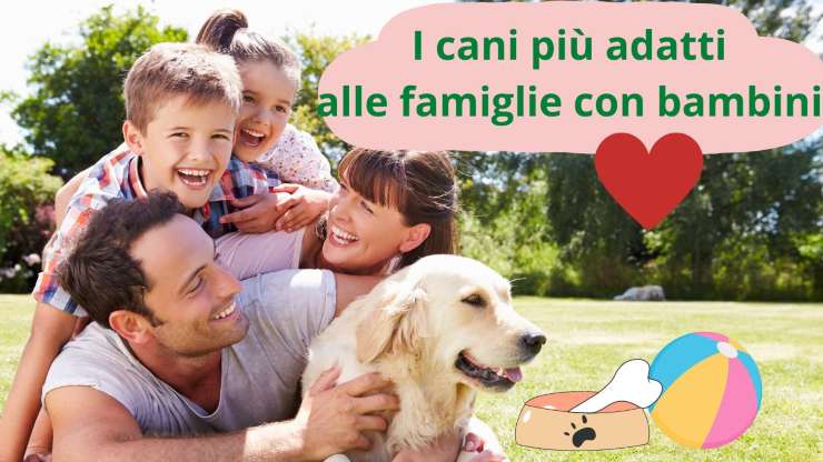 Cani di famiglia