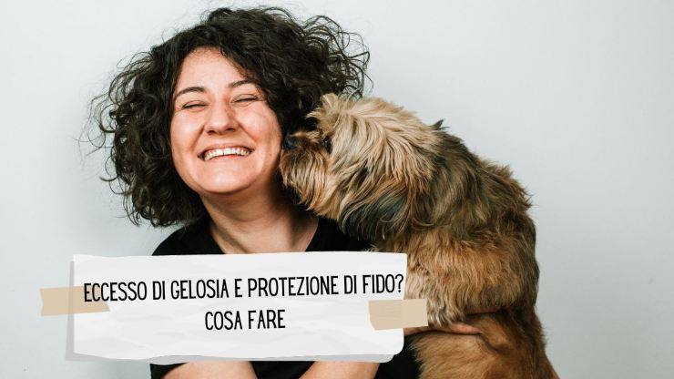 Cane geloso e protettivo