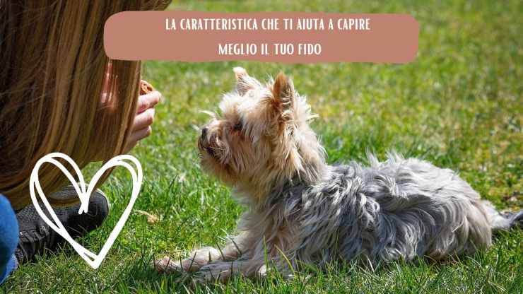 Se hai questa caratteristica