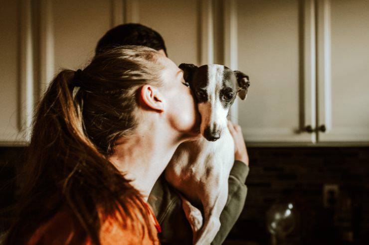 La caratteristica per capire il cane