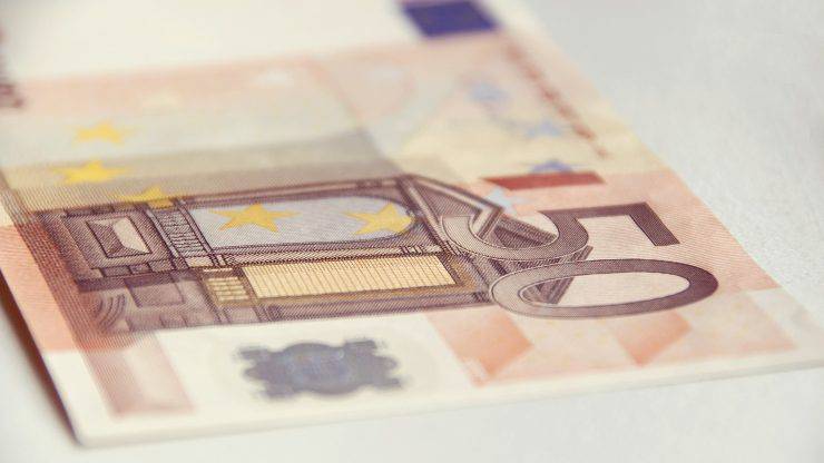 lascia il gatto con 50 euro