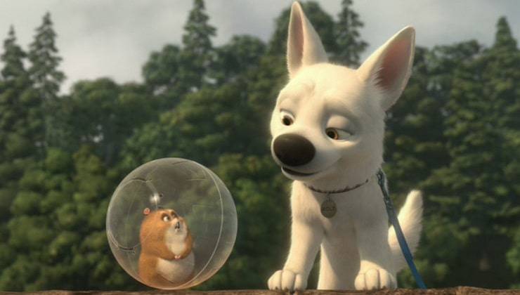 razza cane bolt