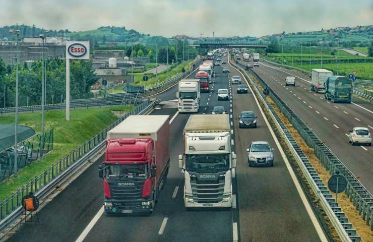 Autostrada trafficata cane auto