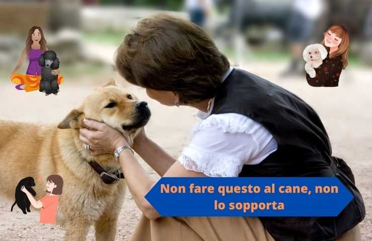 Cane non sopporta questo comportamento