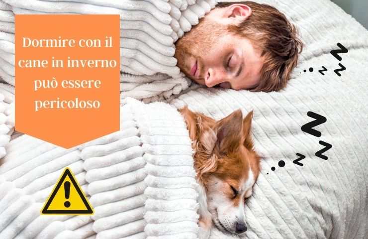 Dormire con il cane