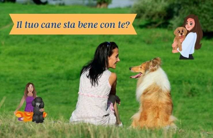 Danna e cane nel prato