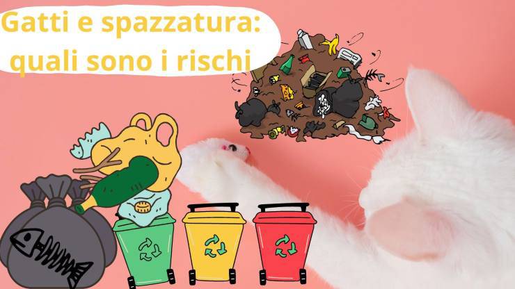 Gatto e rifiuti