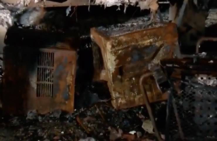 cane sacrifica salvare fiamme 