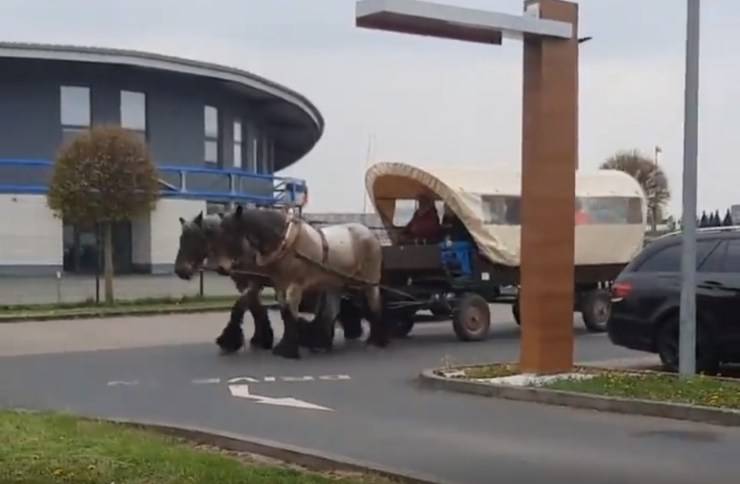 donna lavoro cavallo