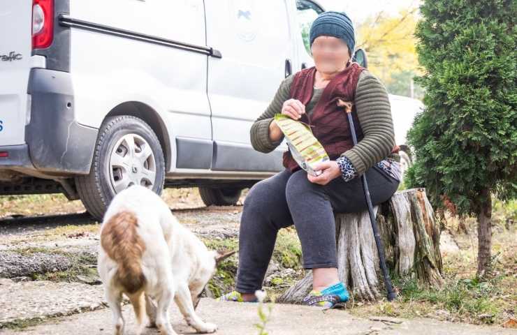 progetto save the dogs