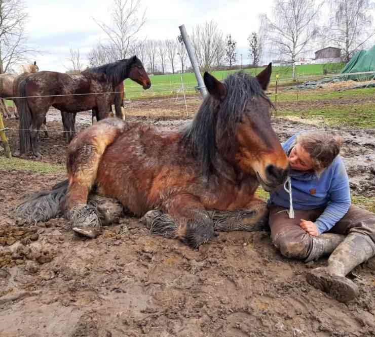 donna lavoro cavallo