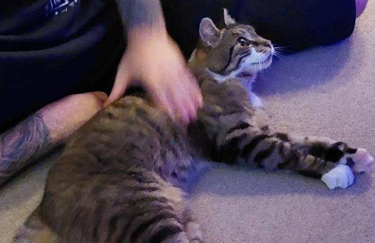 si ritrovano dopo 11 anni