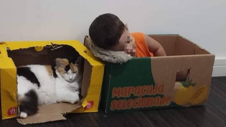bambino imita gatto