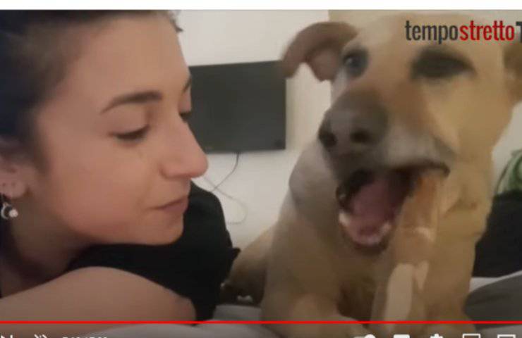 Cane Ares malato tumore