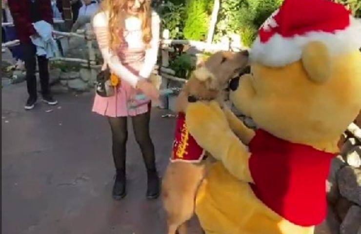 Cane abbraccia Winnie The Pooh