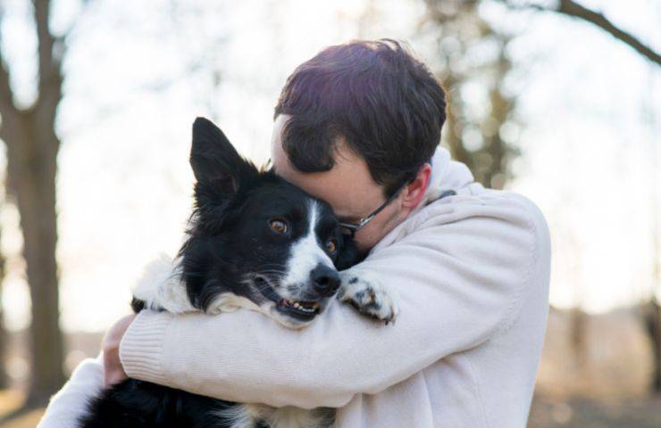 Cane capisce se siamo tristi