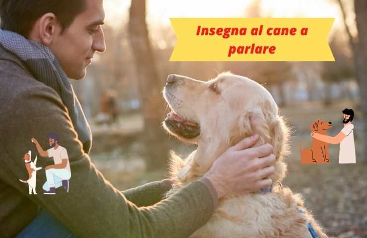 Cane guarda il suo umano