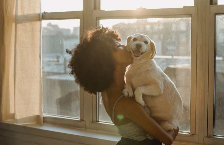 Cane in braccio alla donna