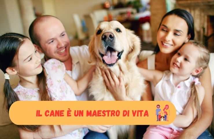 Cane in famiglia