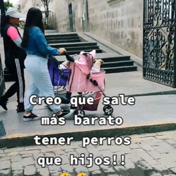 video didascalia economico cane