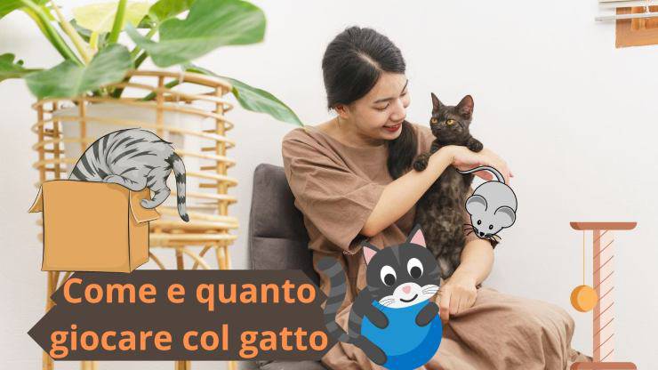 Giocare col gatto
