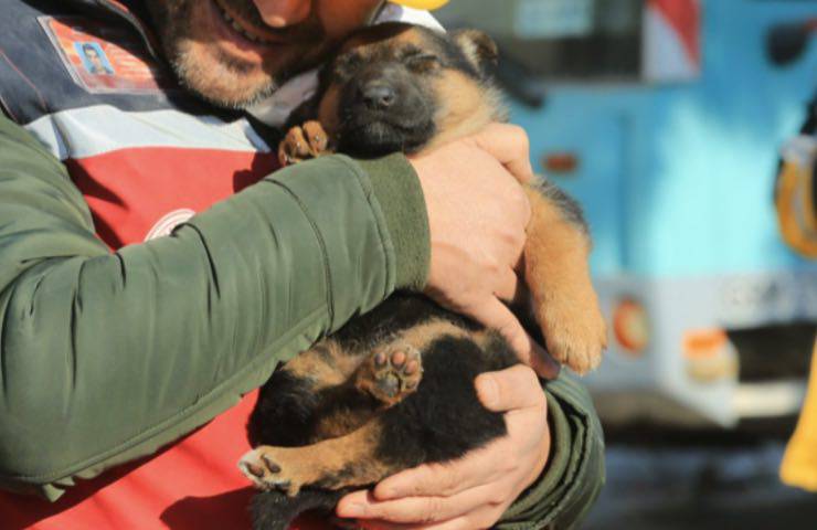 terremoto dopo ritrovati vivi
