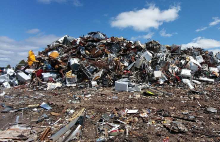 Discarica animali abbandonati salvati