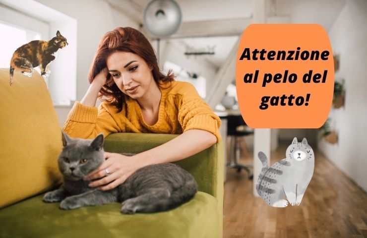 Donna controlla il colore del pelo del gatto