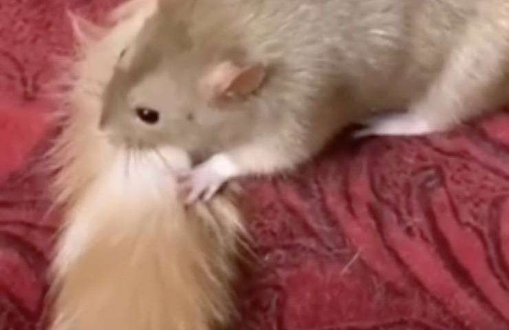 mai incontrati primo sguardo