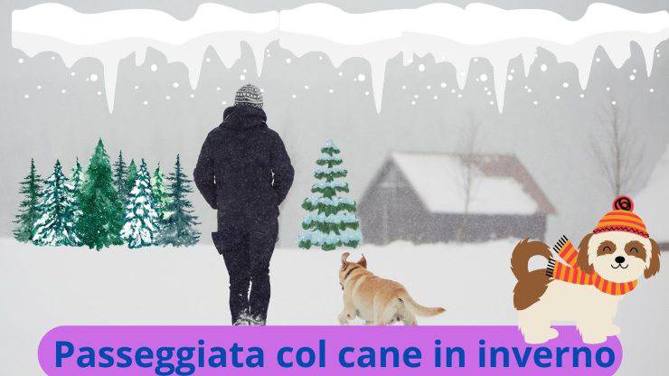 Cane e padrone in inverno