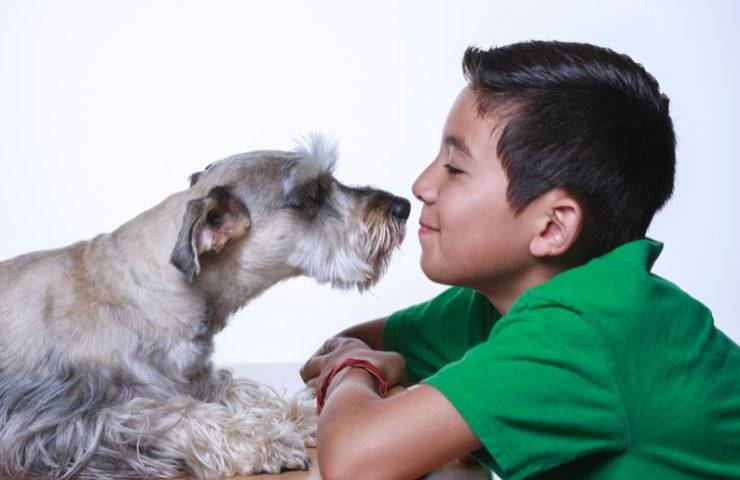 Bambino e cane cieco
