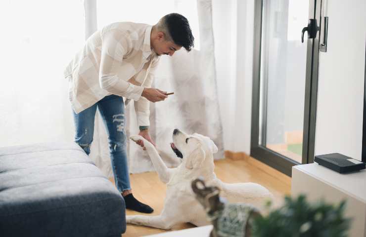 Uomo addestra il cane