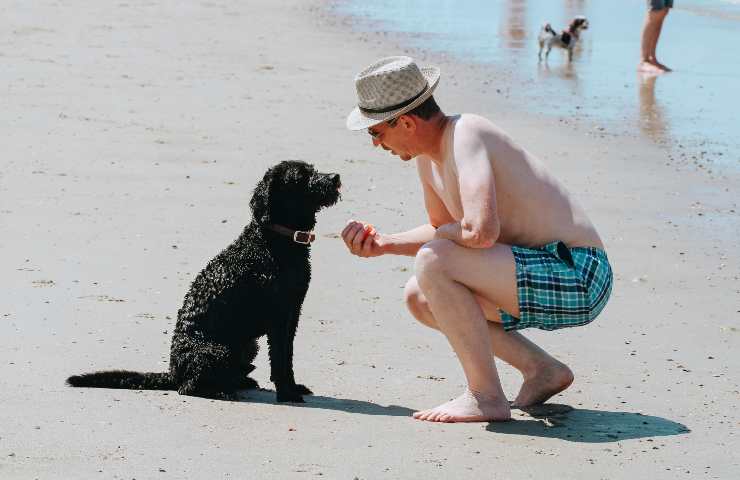 Uomo parla con cane